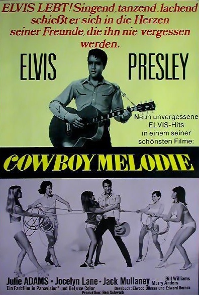 Cowboy-Melodie