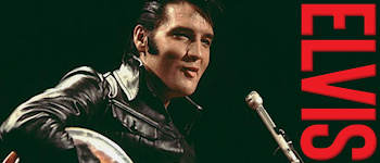 Elvis (Buch - PIL)