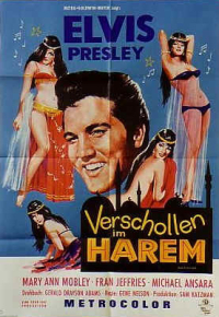 Verschollen im Harem