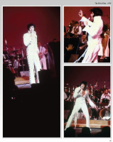 The Elvis Files - Volume 5